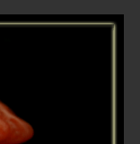 new american cuisine